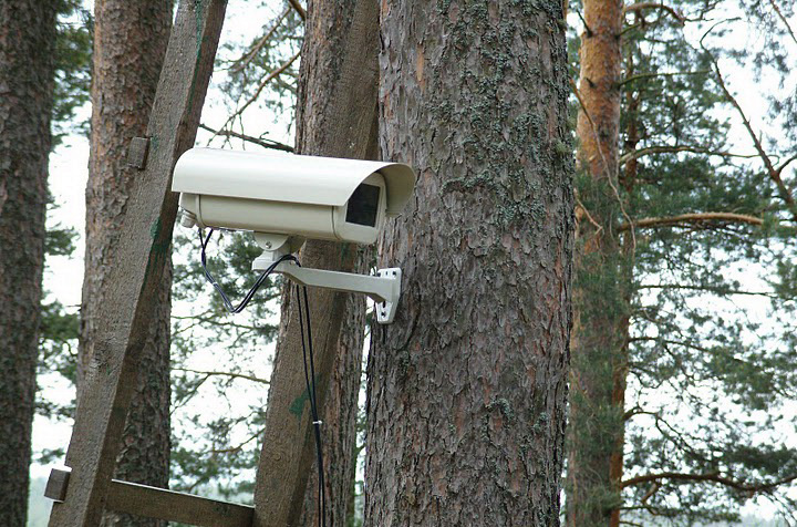 В лесах Оренбуржья установят камеры